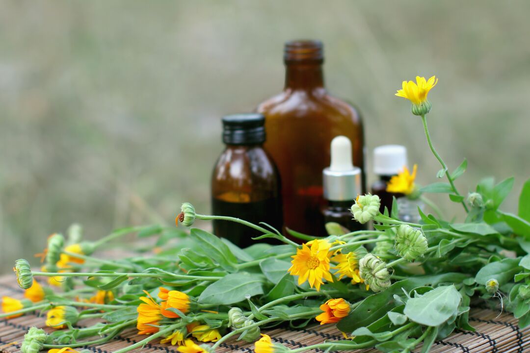 Elecampane - a folk remedy for sexual arousal but with reduced potency