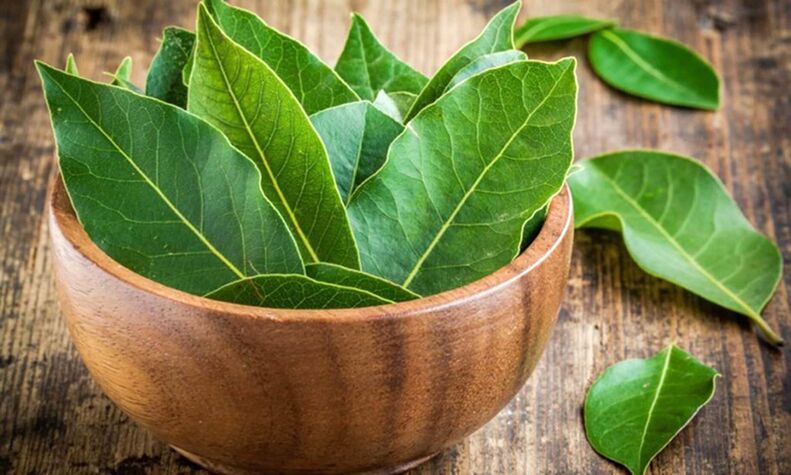 Sea Leaves