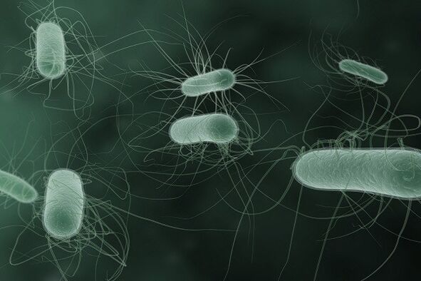 Microorganisms that cause pathological discharges when excited